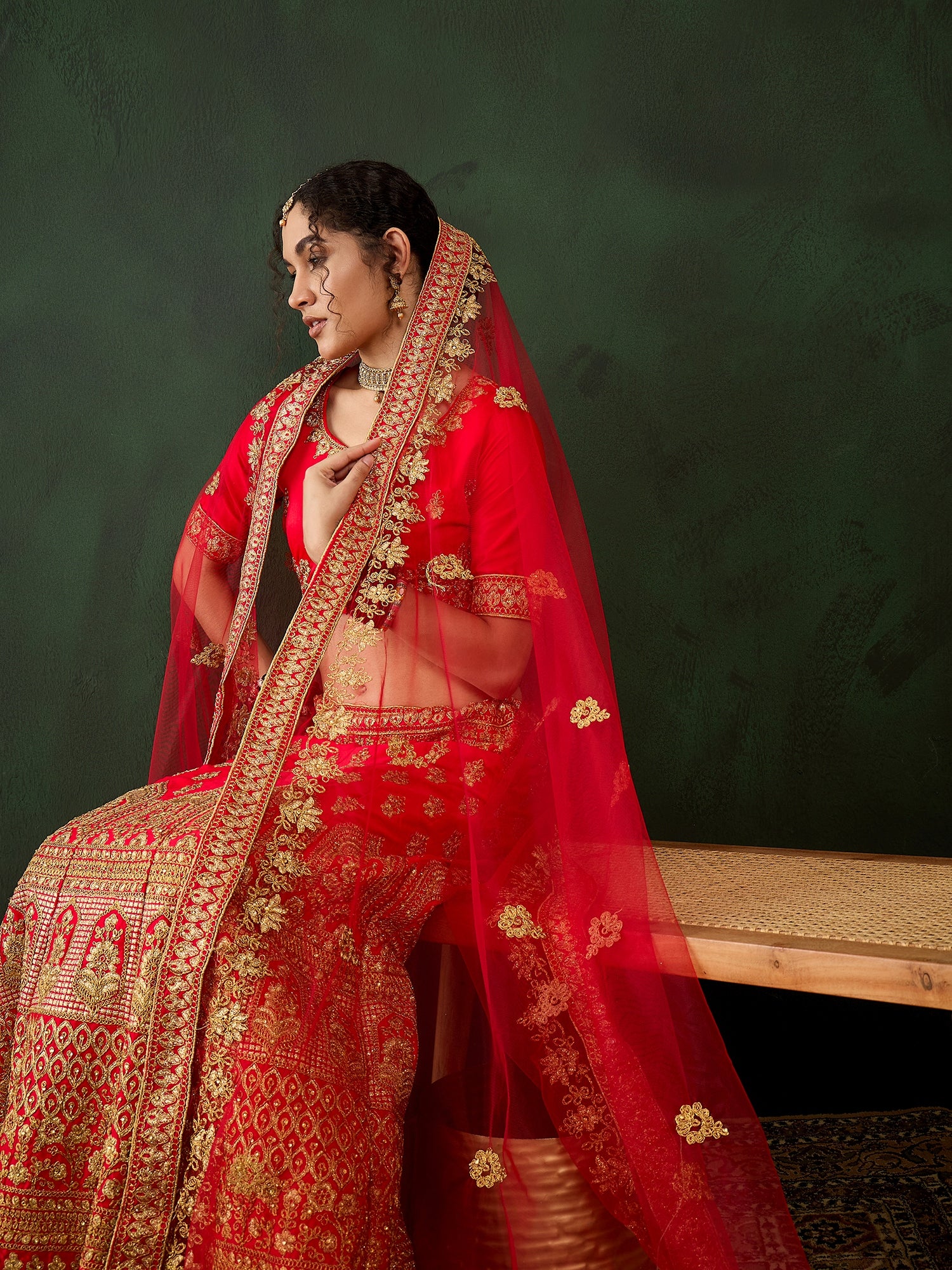 Dazzling Diamond Work Lehenga
